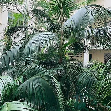 Spectacular Beachfront Apartment *