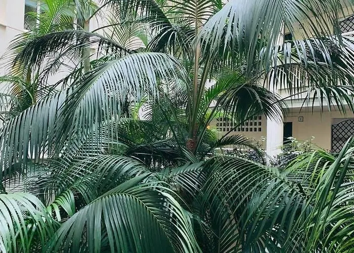 Spectacular Beachfront *